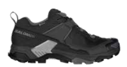 Salomon X Ultra 5 GTX - Men's