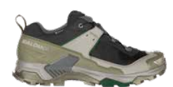 Salomon X Ultra 5 GTX - Men's