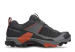 Salomon X Ultra 5 GTX - Men's