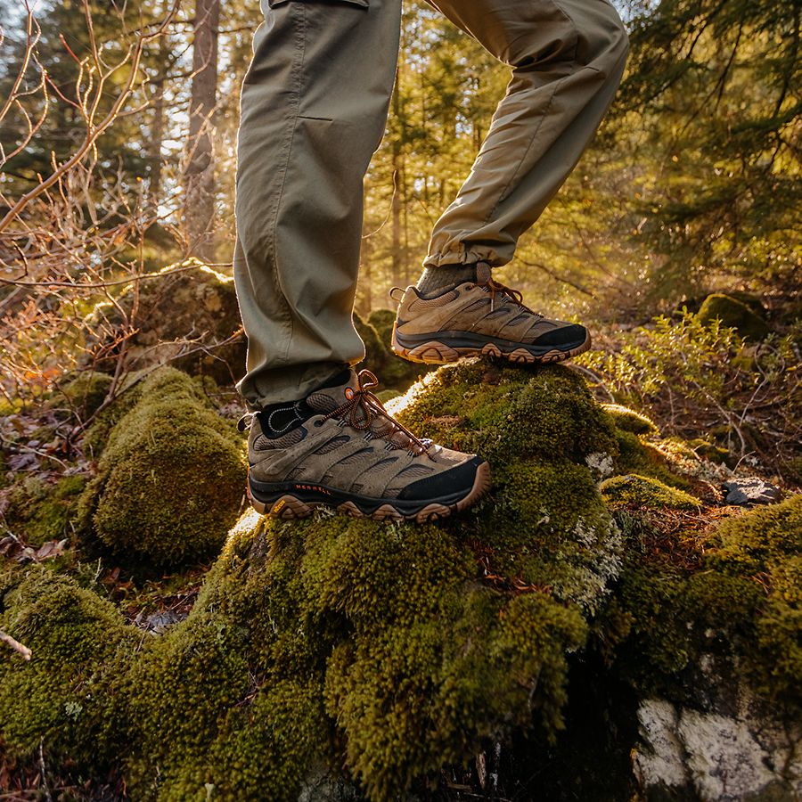 Merrell Moab 3 WP - Men's