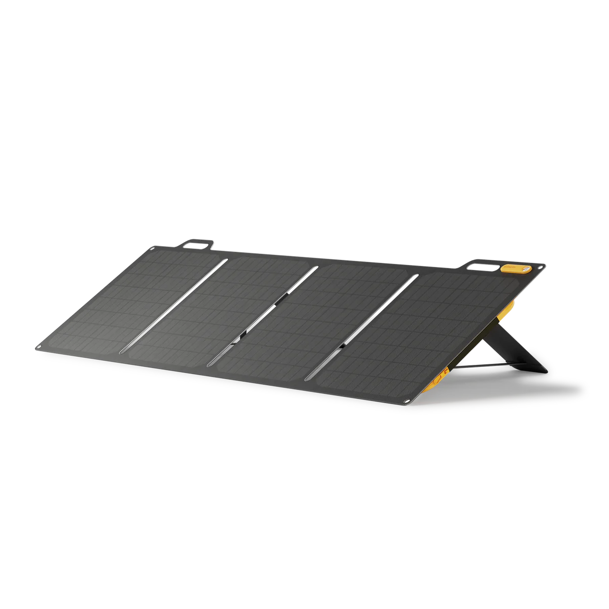 BioLite SolarPanel 100