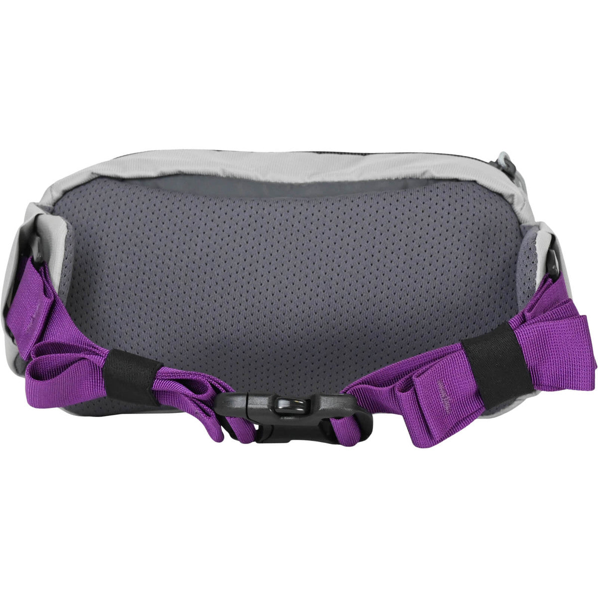 Mystery Ranch Forager Hip Mini Pack