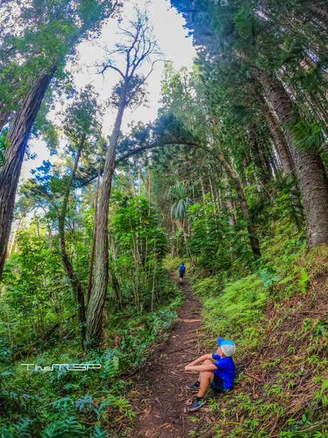 Hiking