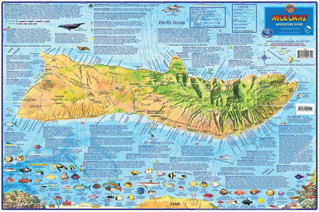 Franko Maps