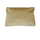 Local Beach Golden Stripe Water Resistant Pouch