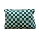 Local Beach Blue/Green Checker Water Resistant Pouch