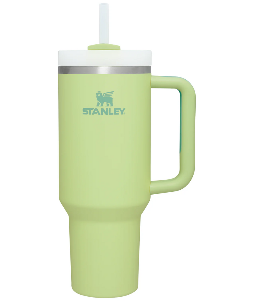 Stanley 30 oz Pool vs 40 oz Tigerlily Quencher H2.0 Flowstate Tumbler with  Handle Comparison 