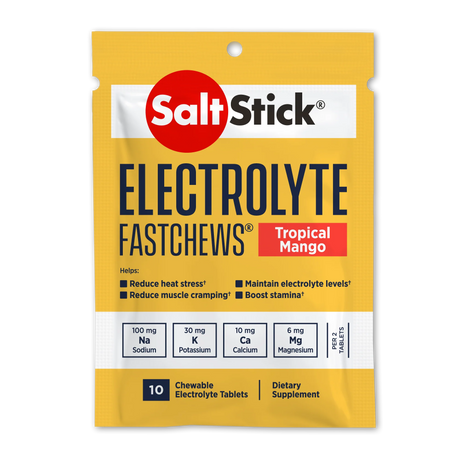 Salt Stick FastChews - 10 Count Packet