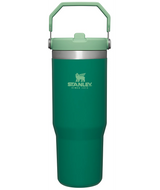Stanley The IceFlow Flip Straw Tumbler