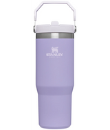 Stanley The IceFlow Flip Straw Tumbler