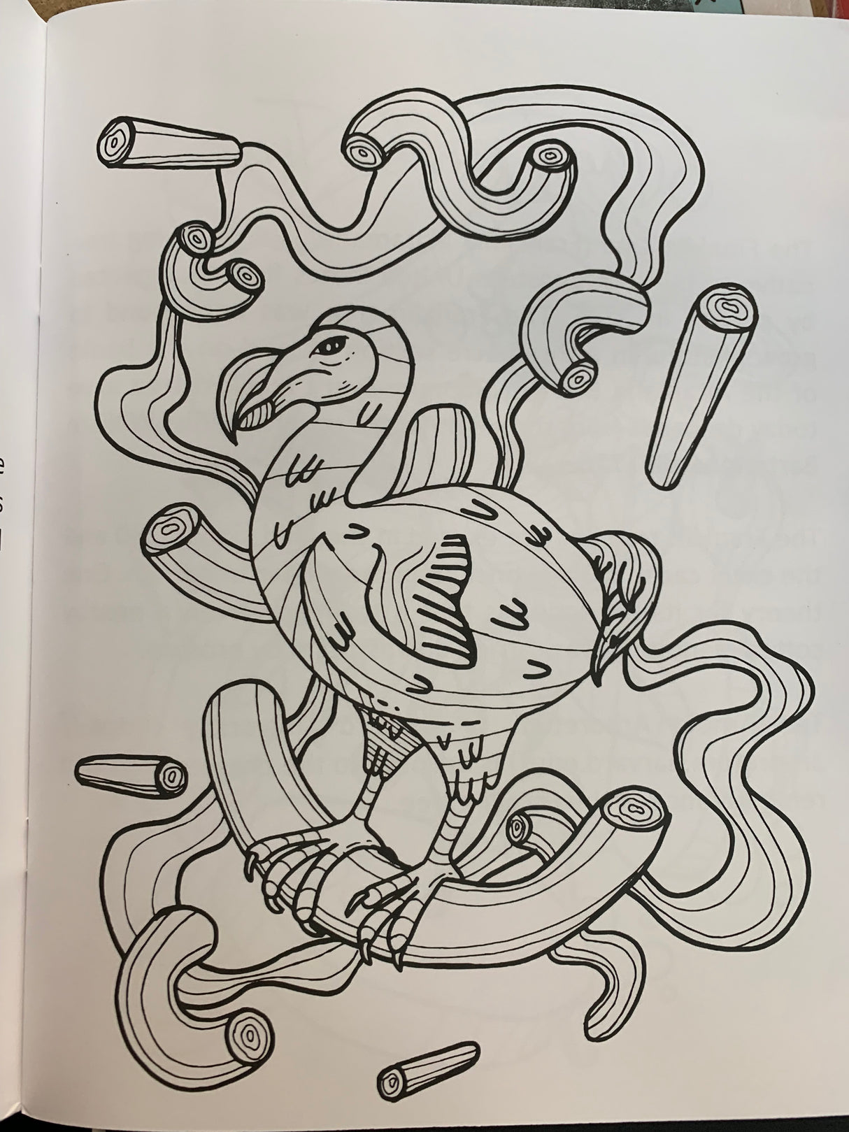 Care A Whole Lot: Endangered and Extinct Coloring Book